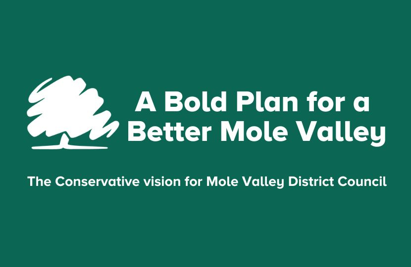 A Bold Plan for a Better Mole Valley
